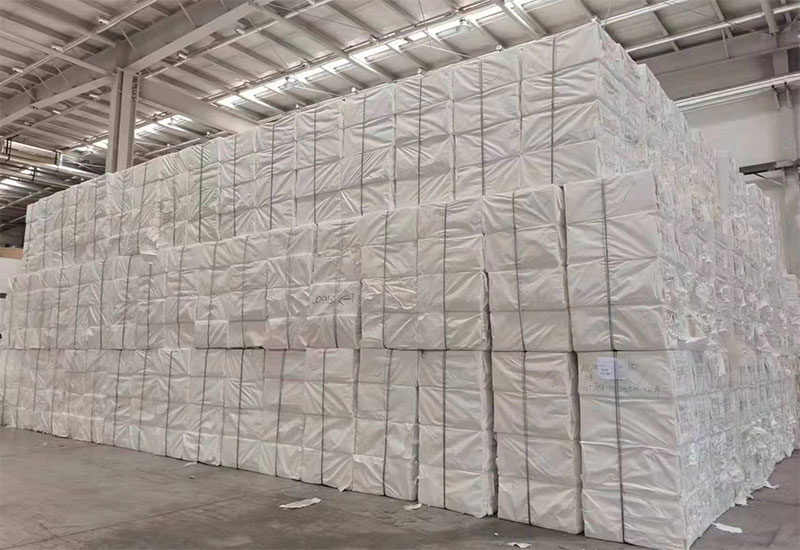 Bagasse Pulp
