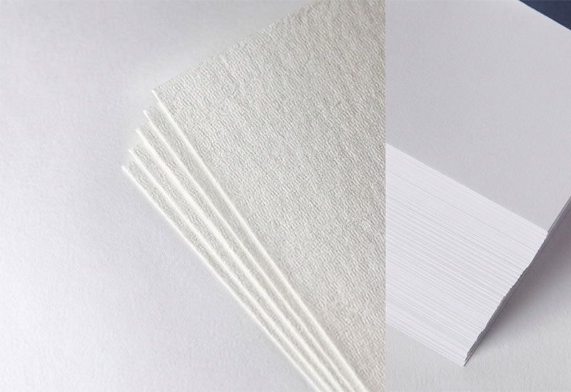 Bleached Softwood Pulp